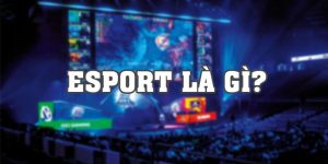 Esport Là Gì Và Top Các Tựa Game Hấp Dẫn Nhất Hiện Nay