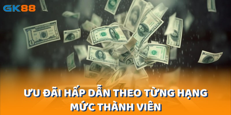 Nền tảng cung cấp nhiều chương trình ưu đãi độc quyền dành cho các thành viên