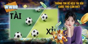Kèo Tài Xỉu Bóng Đá Là Gì? Các Tỷ Lệ Cược Phổ Biến Nhất